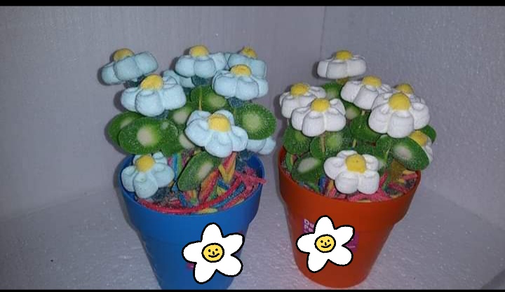 Maceta de Flores de Chuches